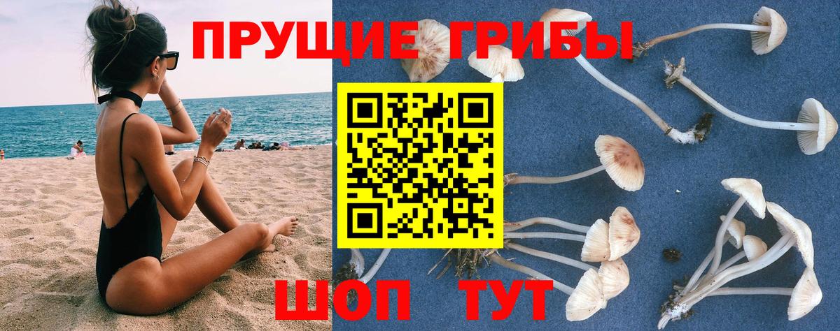 Галлюциногенные грибы прущие грибы Озёры
